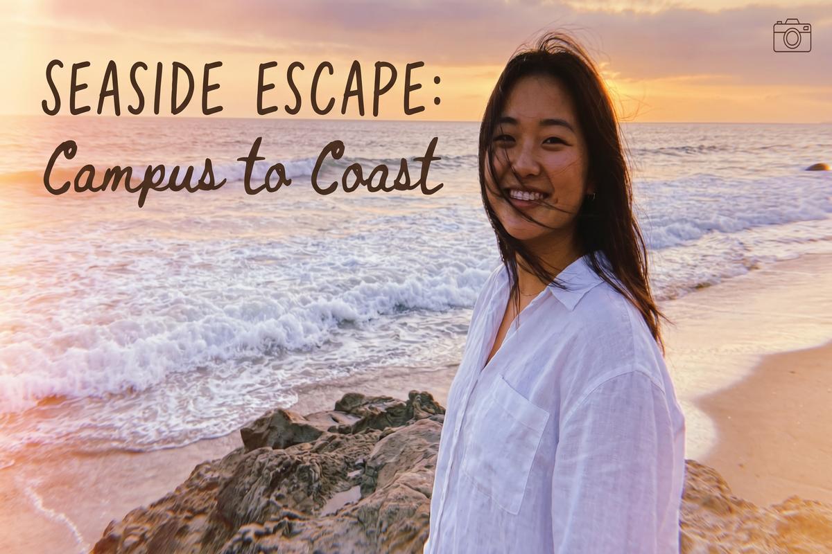 小小绘传媒旅行视频